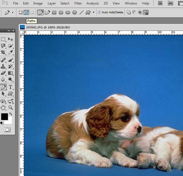 How to cut out an image in Photoshop