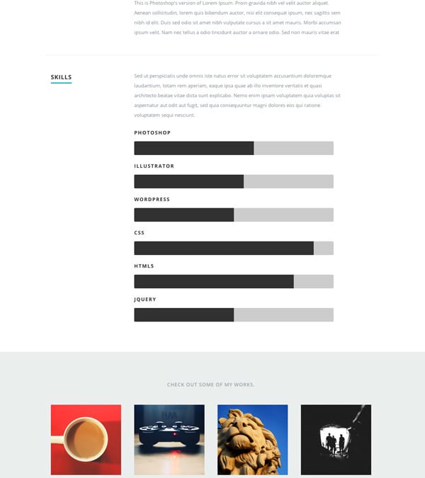 Ceevee: Responsive HTML Template