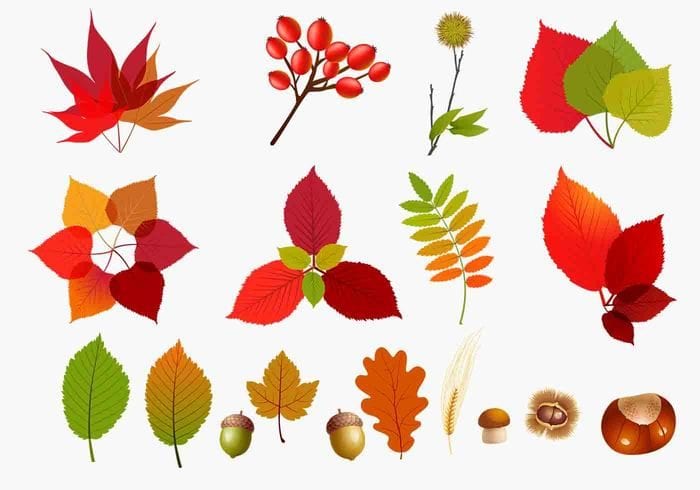 New Fall Leaves Free Vector Download