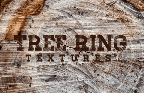 Freebie: Tree Ring Texture Background