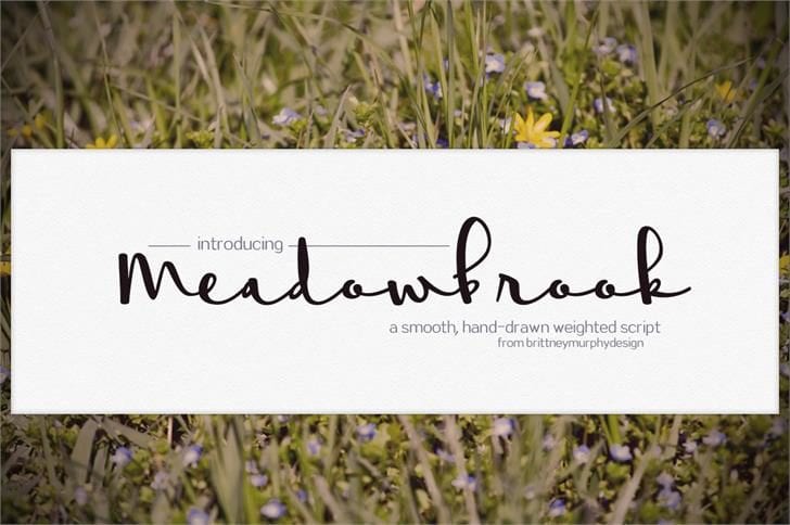 Meadowbrook – Great Script Font For Design
