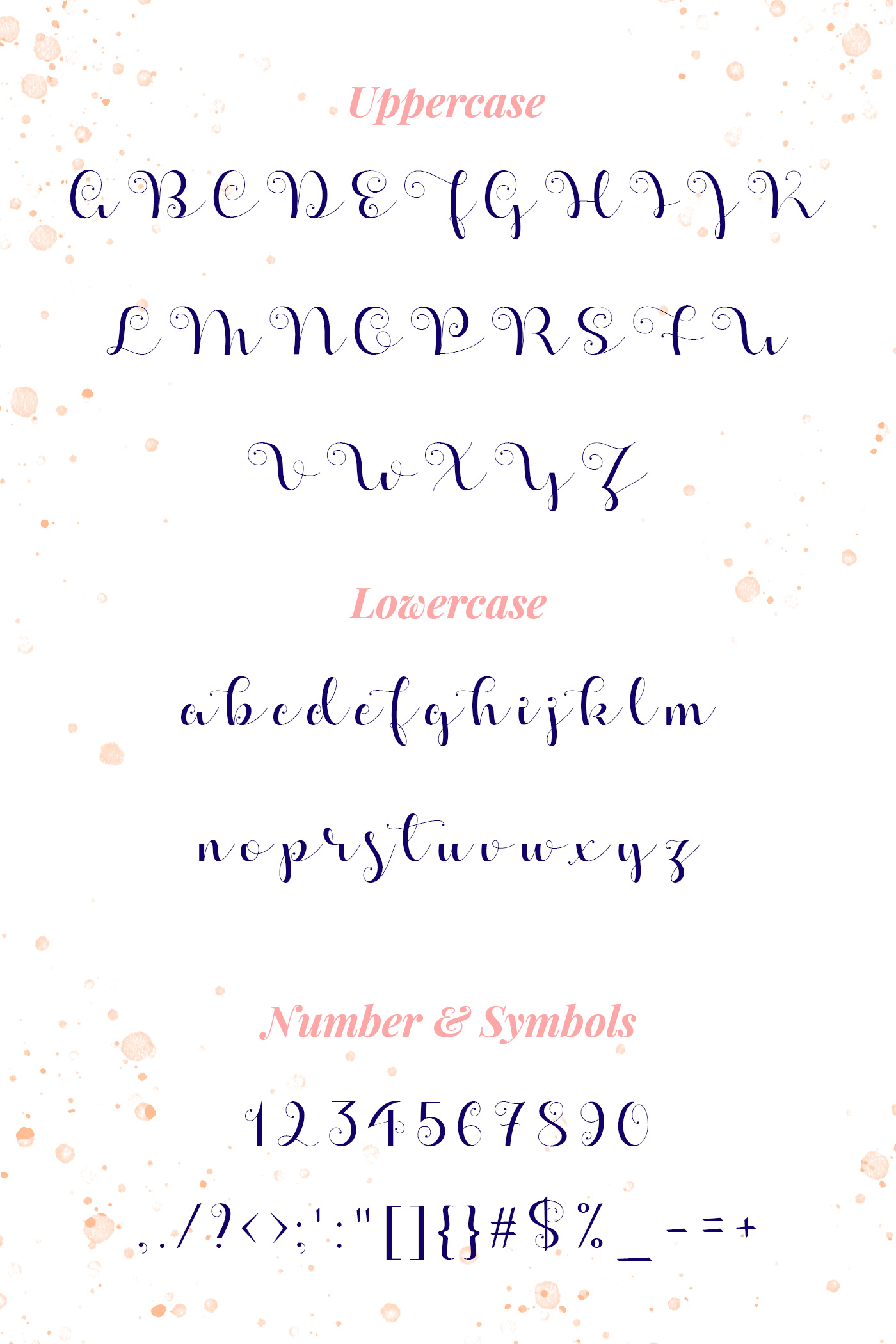 beautiful script typeface