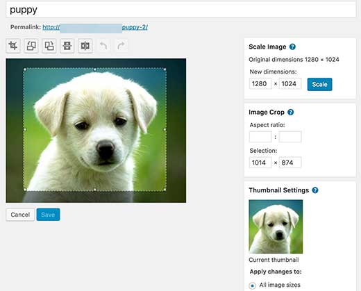 How To Edit Image In Wordpress