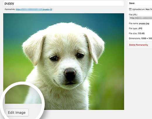 Edit Image In Wordpress