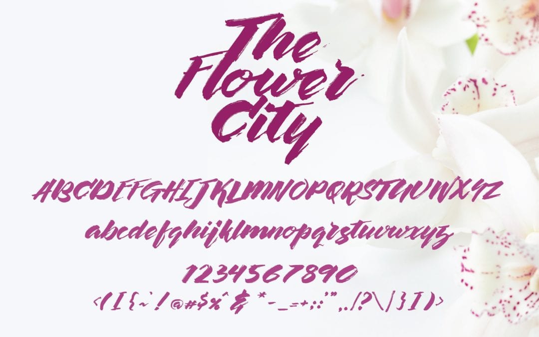 The Flower City Script Free Font