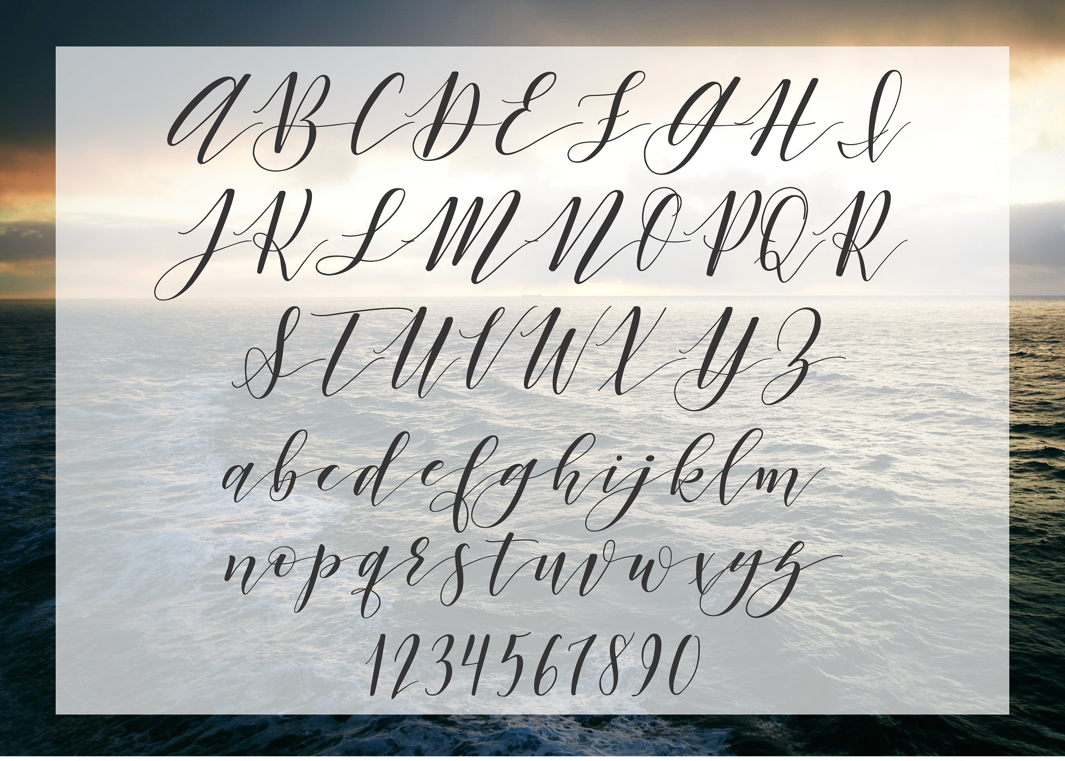 Argentinian Nights Calligraphy Typeface - LTHEME