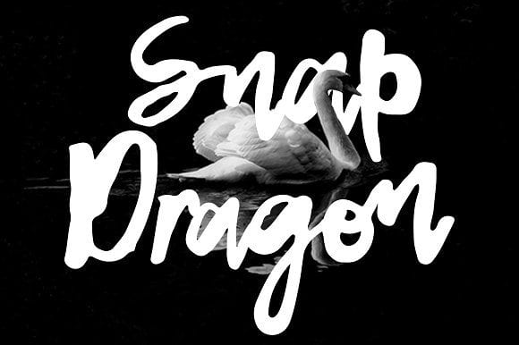 Snap Dragon Free Script Typeface