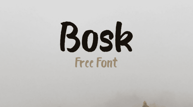 Bosk Handmade Brush Font