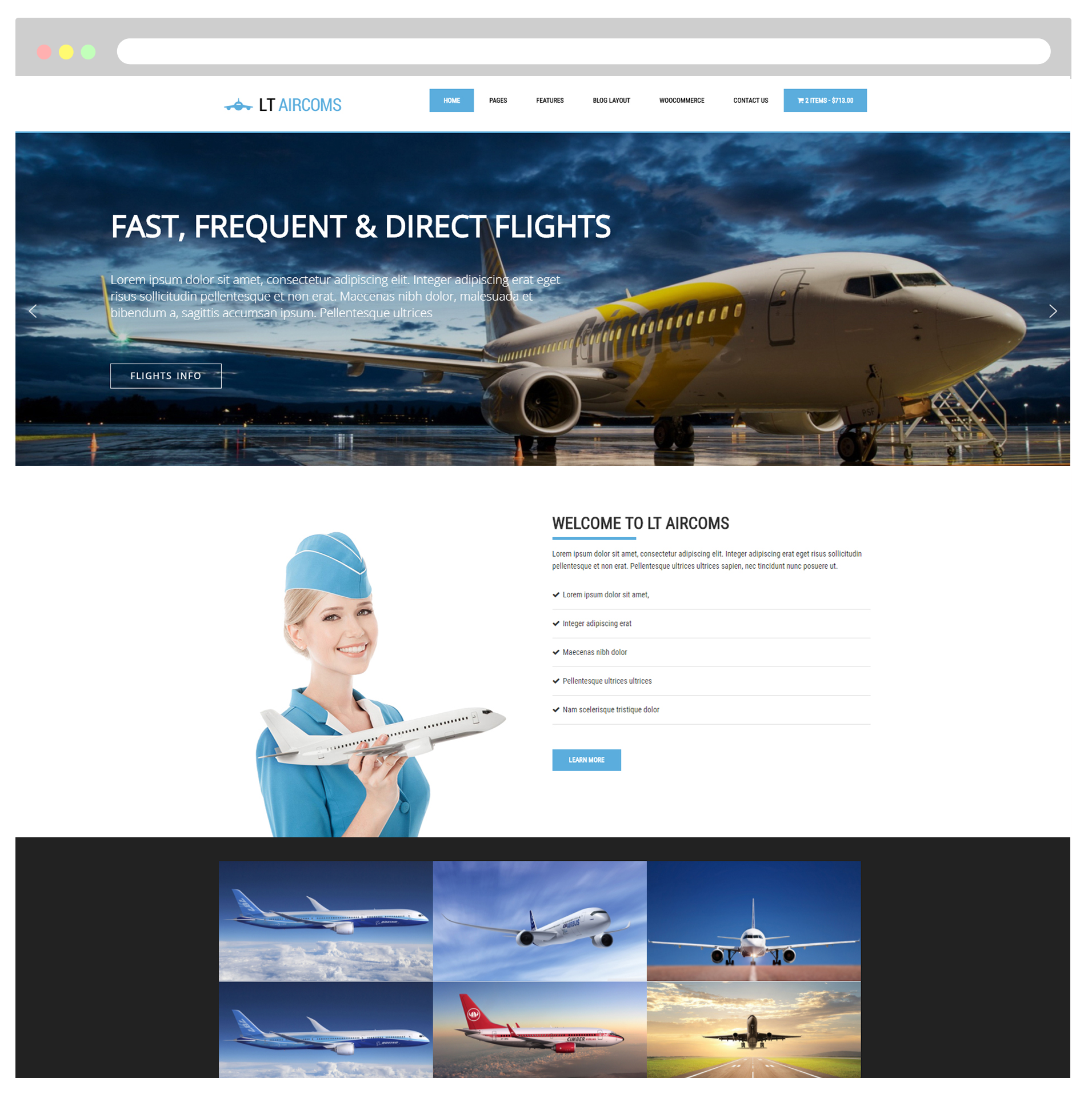 LT Aircoms – Private Airline WordPress Theme