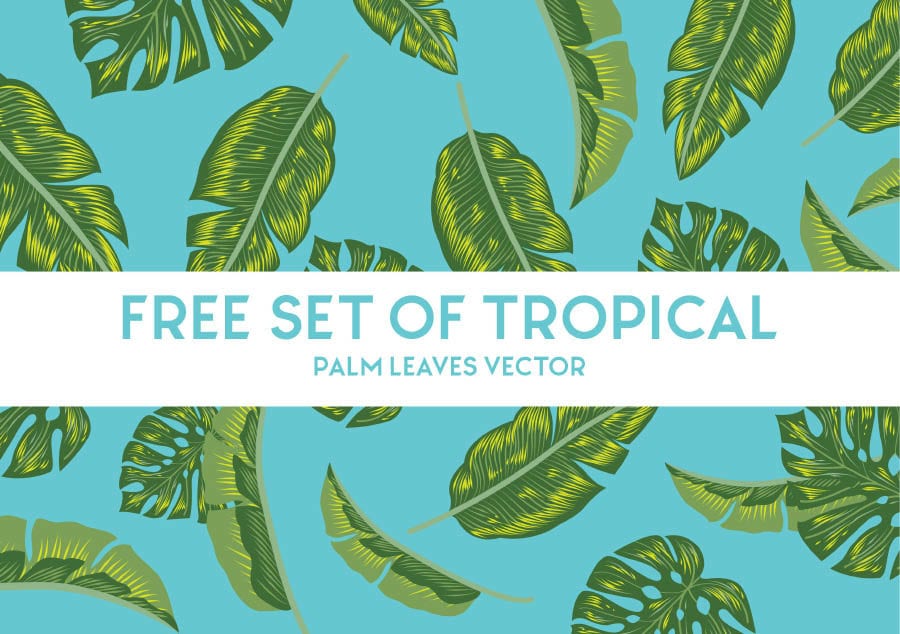 Free Set Of Tropical Palm Leaves Vector