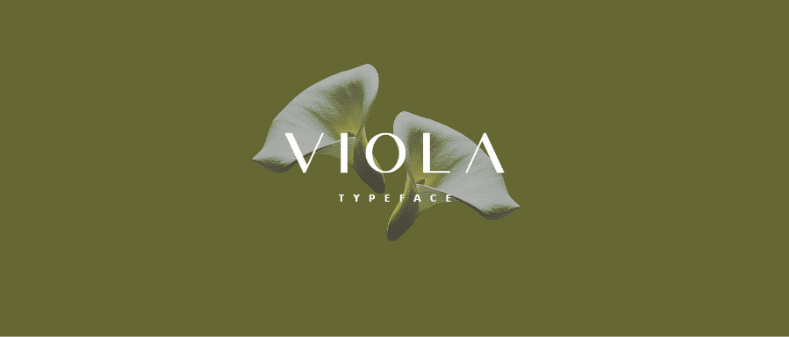 Viola Free Minimalist Typeface