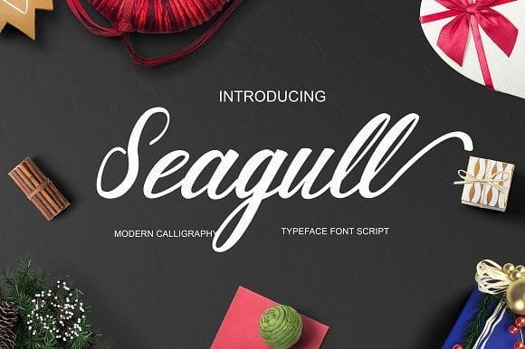 Seagull Hand Lettering Script Fonts