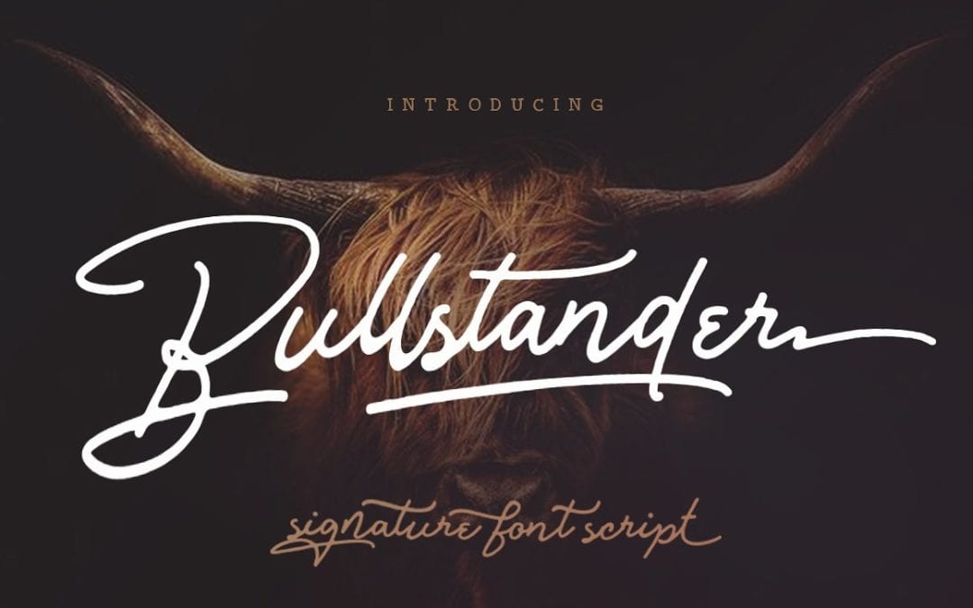 Bullstander Signature Script Font