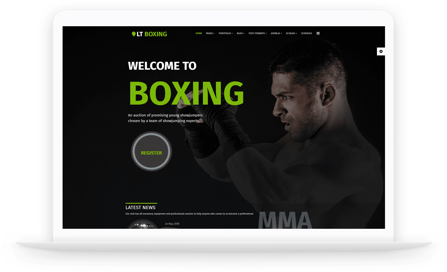 lt-boxing