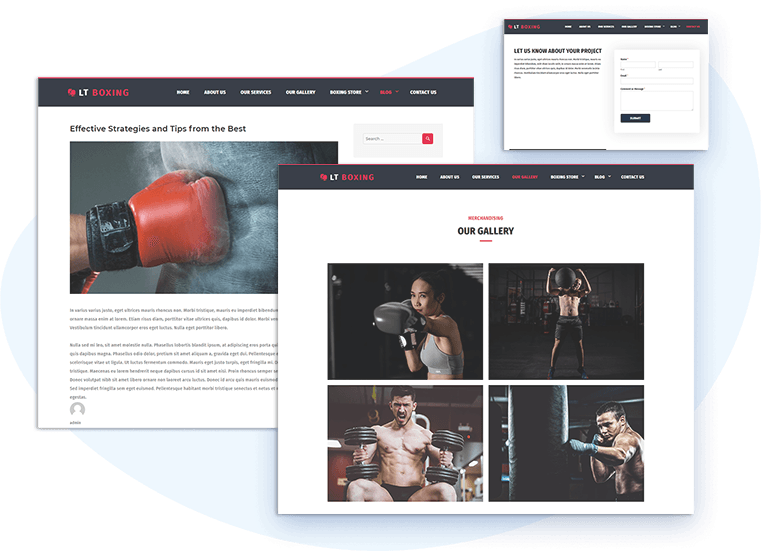 Lt-Boxing-Free-Wordpress-Theme-Contact