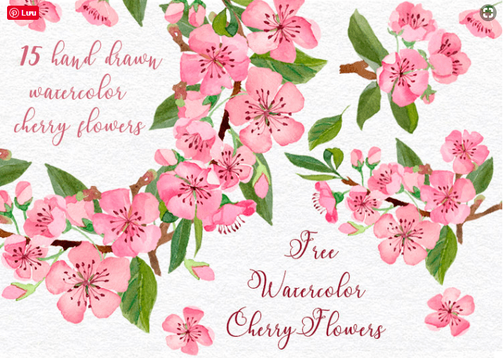 15 Hand-drawn Cherry Watercolor Flowers