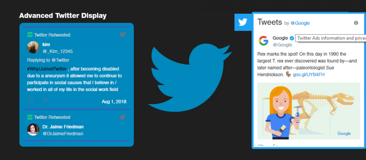 Advanced Twitter Display