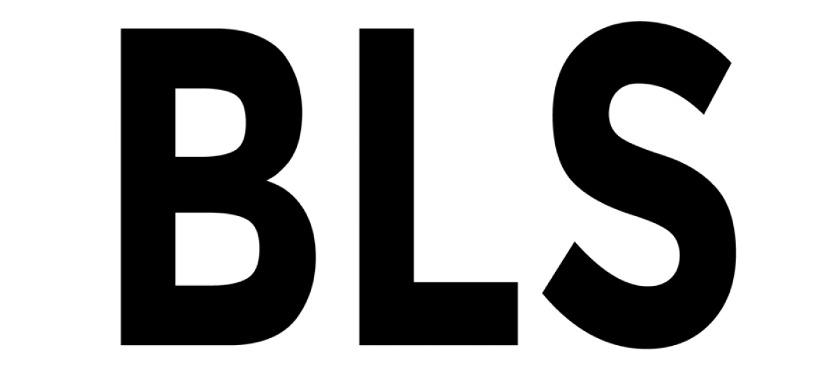 Bls - Backend Language Switcher