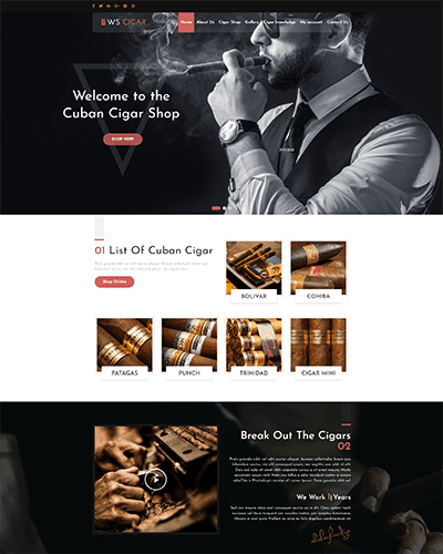 WS Cigar – Premium Cigar Shop WordPress themes