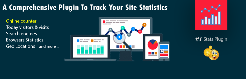 Visitor Traffic Real Time Statistics