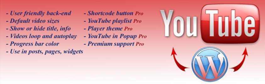 WordPress-youtube-plugin-6