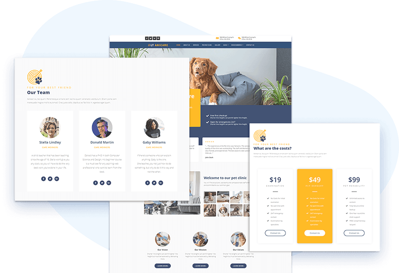 Lt-Anicare-Free-Wordpress-Theme-Elementor