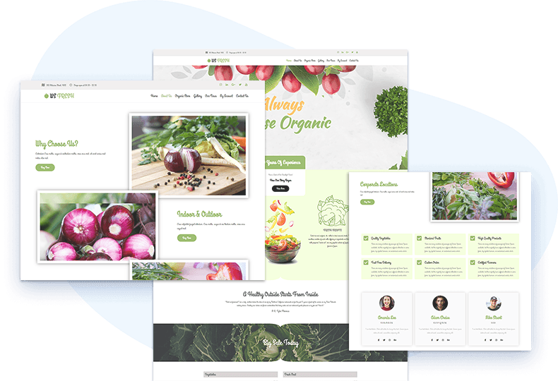 Ws-Fresh-Free-Wordpress-Theme-Elementor