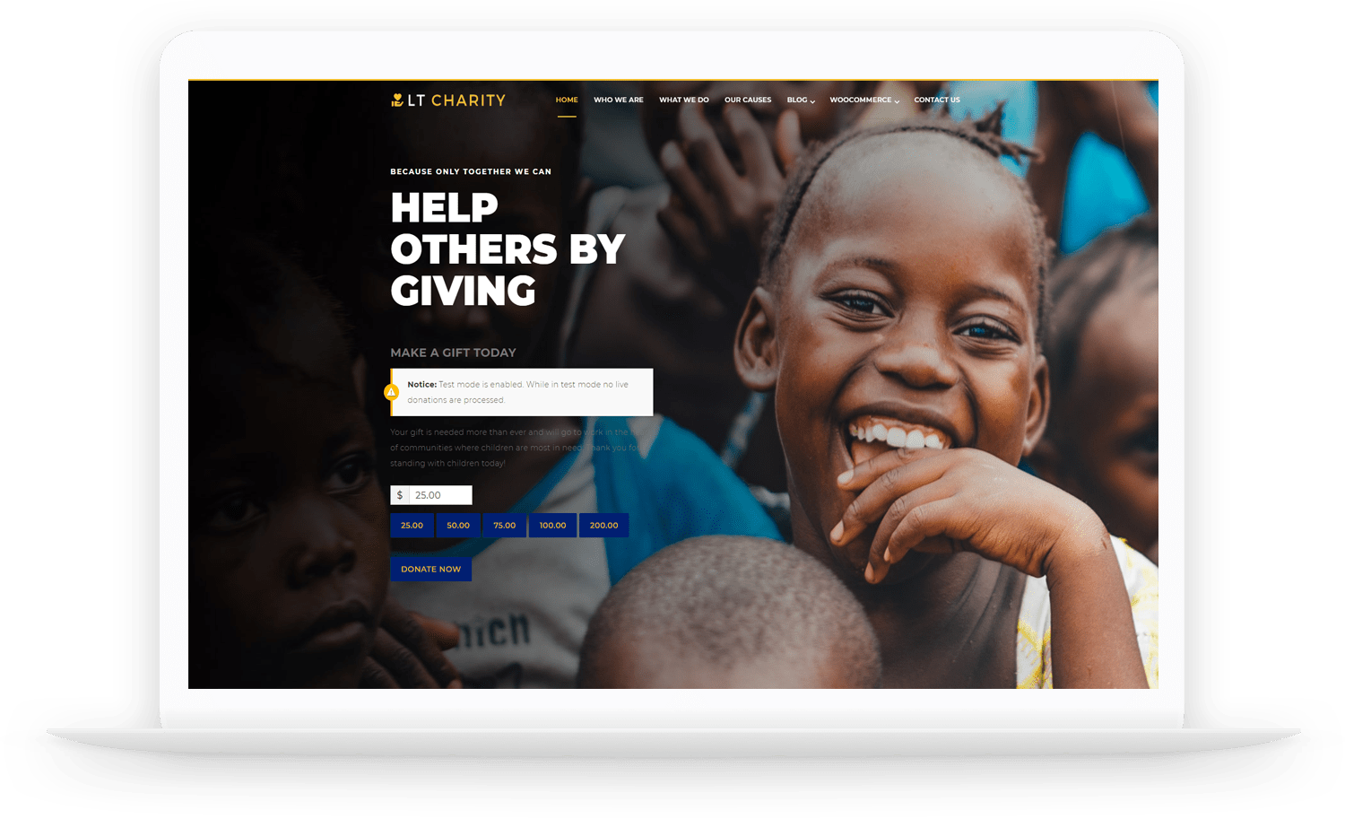 LT Charity Free Responsive NonProfit / Charity WordPress theme