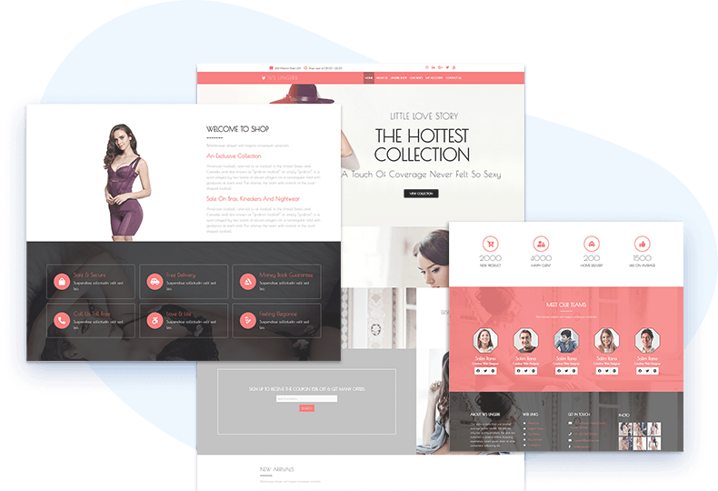 WS Lingerie – Responsive Clothes WooCommerce Wordpress theme