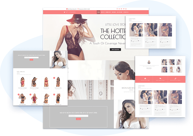 WS Lingerie – Responsive Clothes WooCommerce Wordpress theme