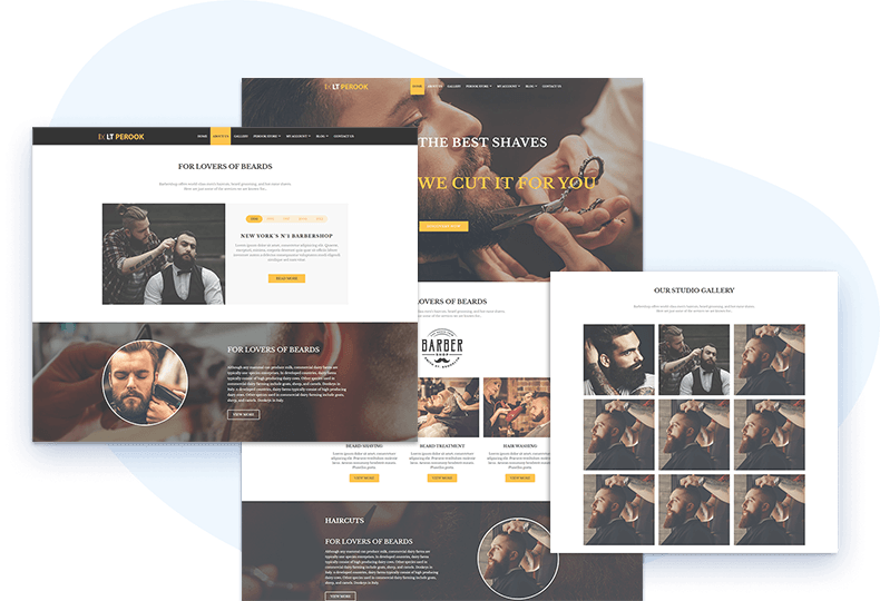 Lt-Perook-Free-Wordpress-Theme-Elementor