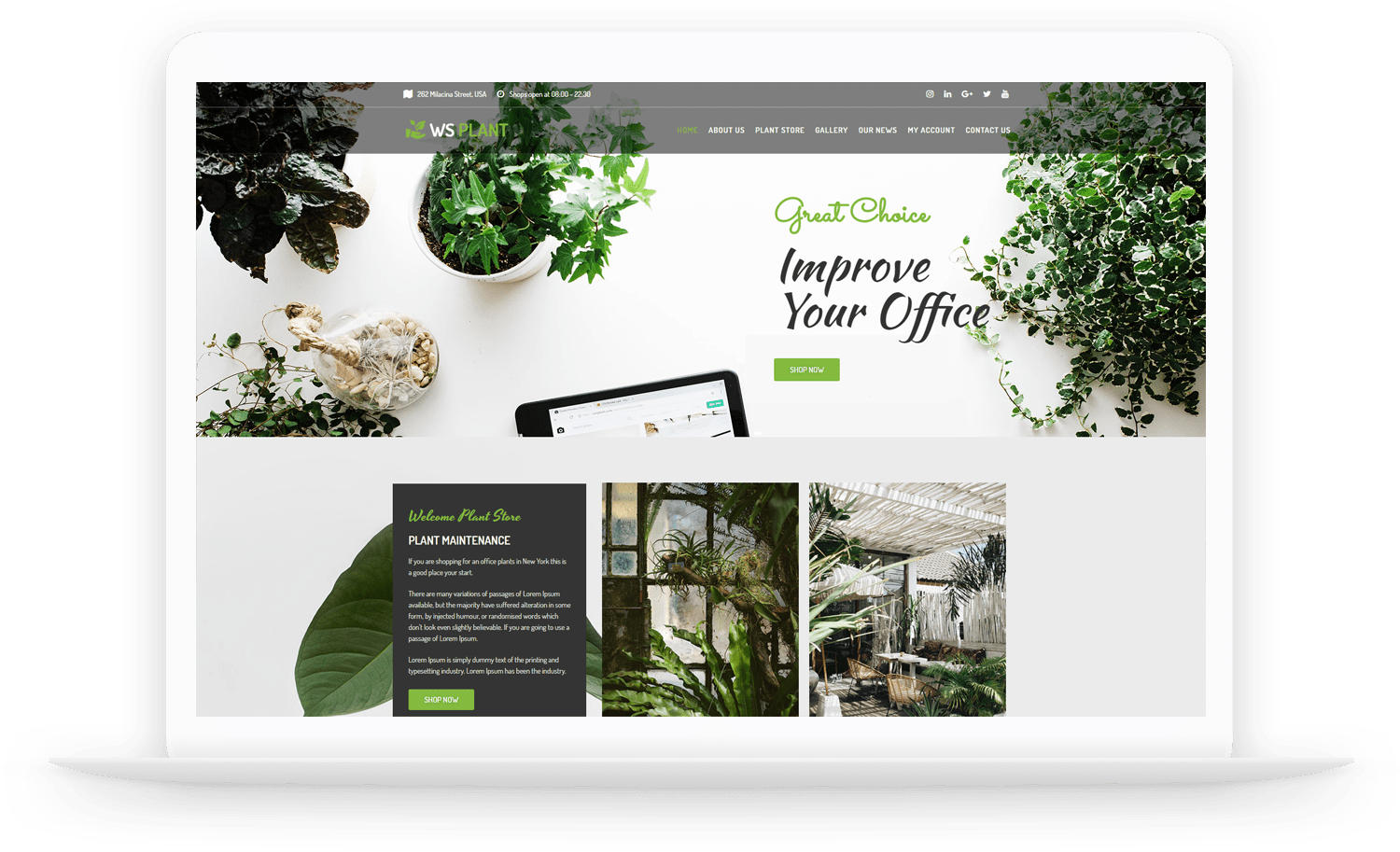 Ws-Plant-Free-Responsive-Wordpress-Theme