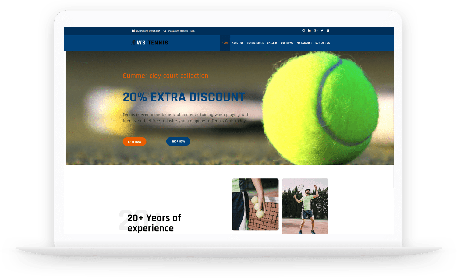 Ws-Tennis-Free-Responsive-Wordpress-Theme
