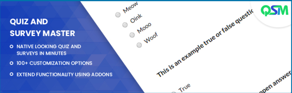 Quiz And Survey Master- Wordpress Questionnaire Plugin