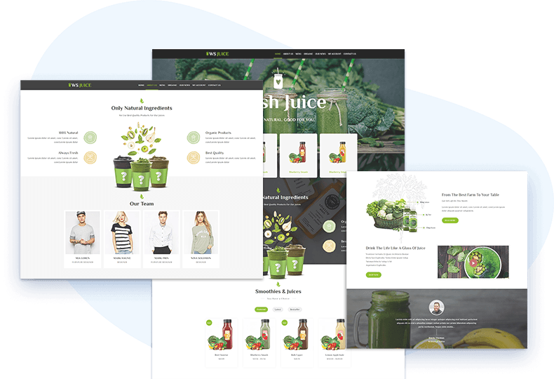 Ws-Juice-Free-Wordpress-Theme-Elementor