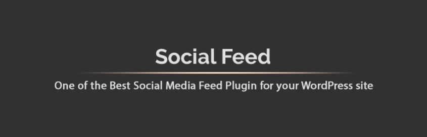 Social Feed: Facebook Feed, Instagram Feed, Twitter Feed, Pinterest, Vk