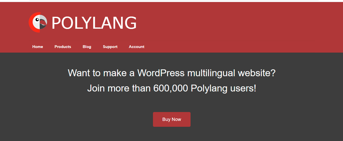 Polylang Overview