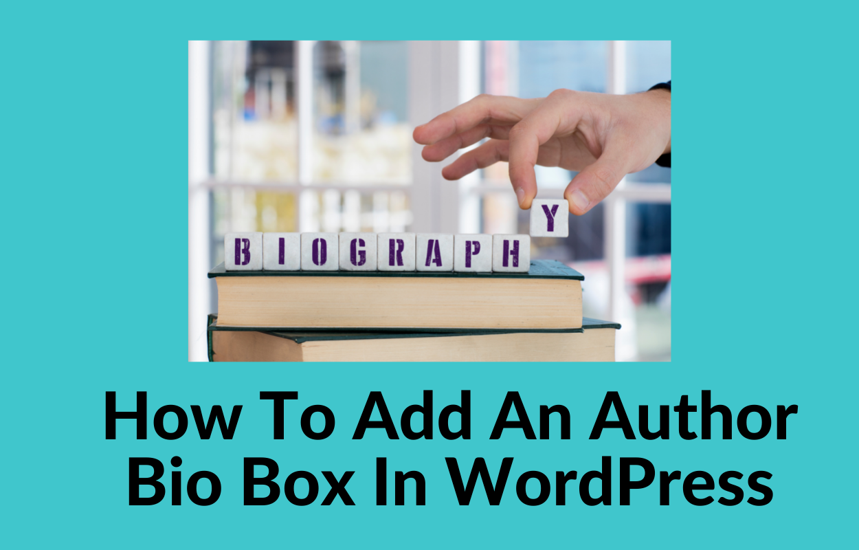 add an author bio box