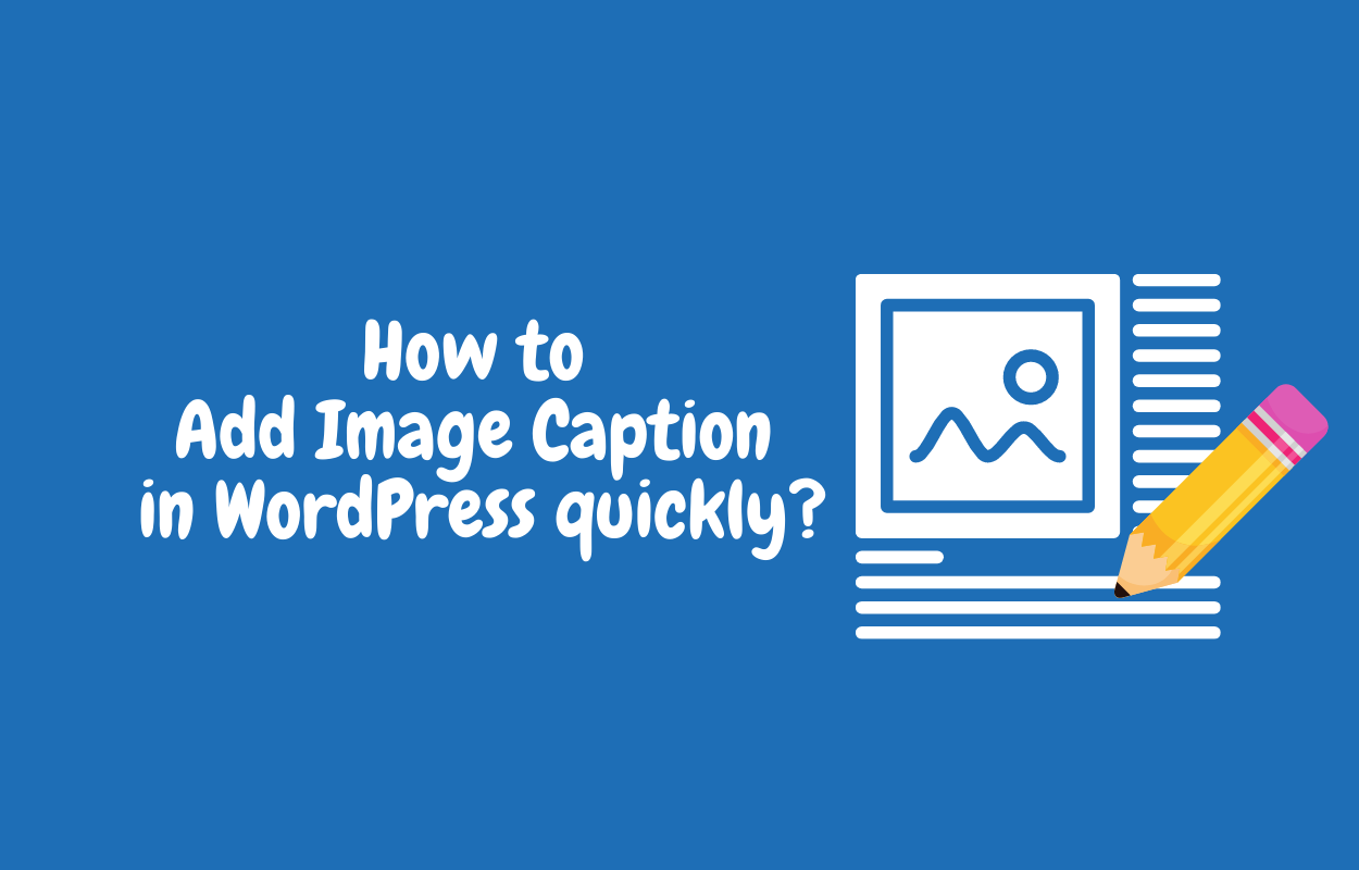 How to Add Image Caption in WordPress easily?