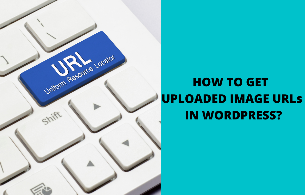 How to easily Get Uploaded Image URLs in WordPress?