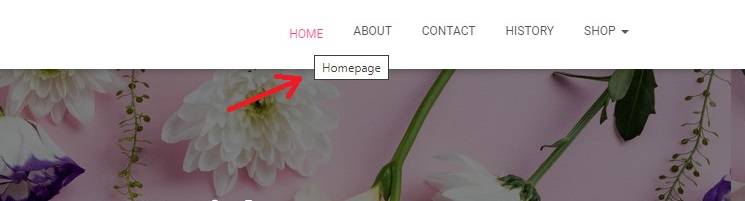 Title Attribute In Wordpress Navigation Menu