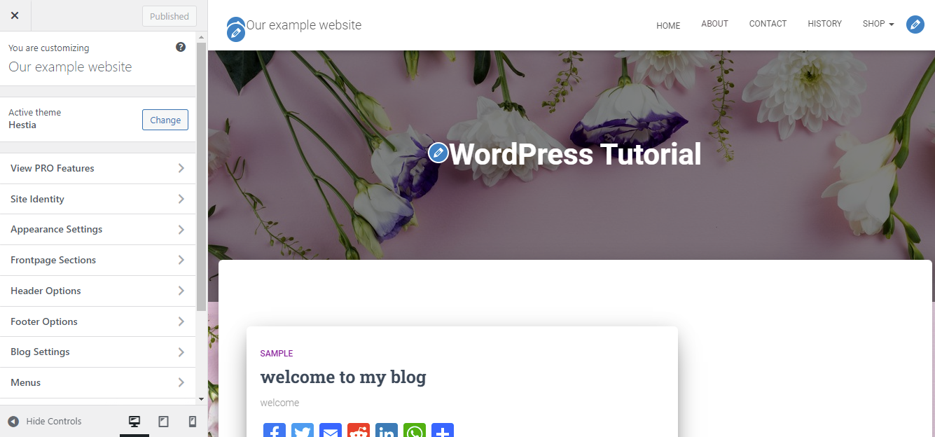 Use Wordpress Theme Customizer