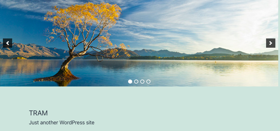 Add An Image Slider In Wordpress Header 8