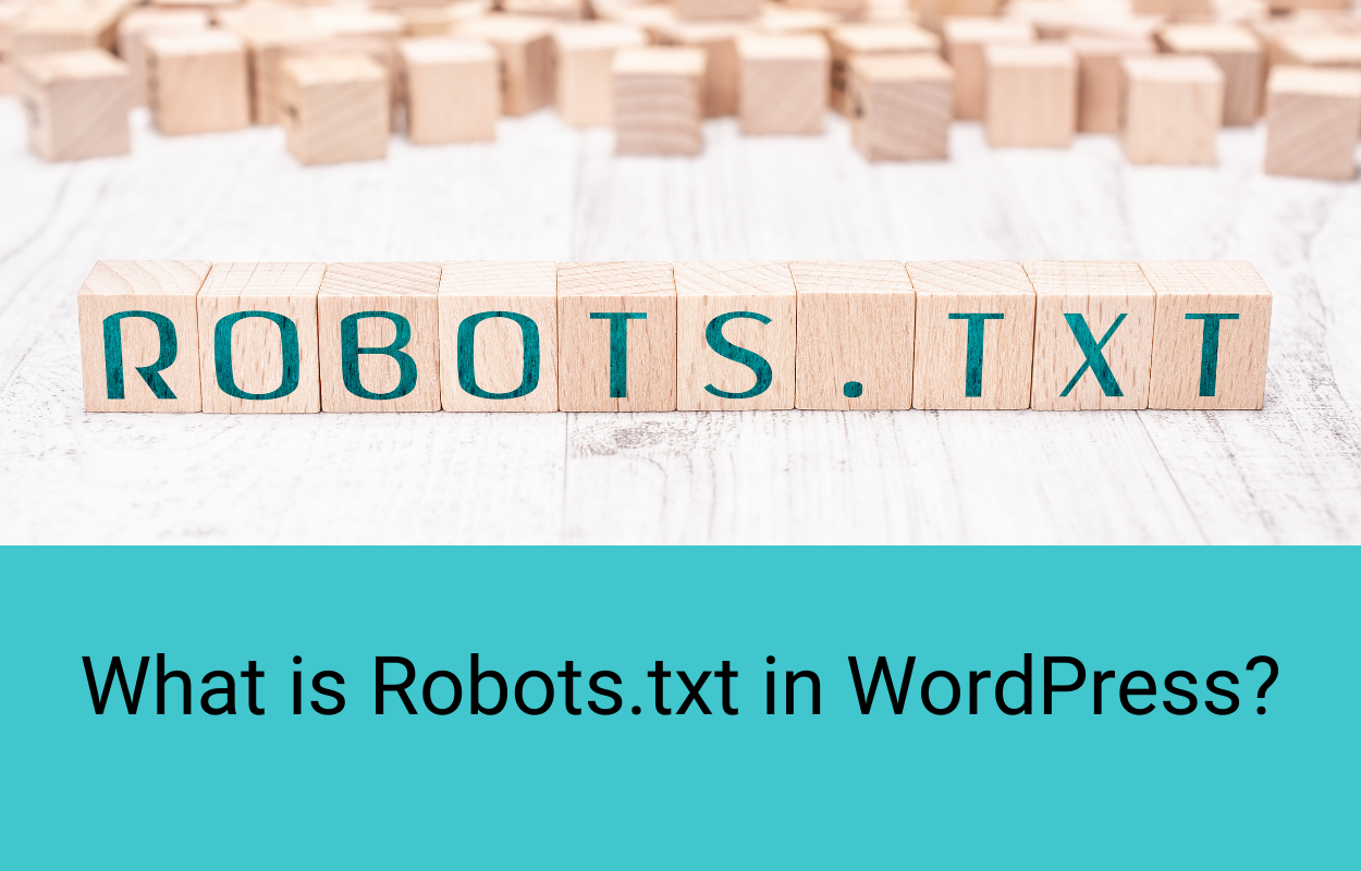 What is Robots.txt in WordPress?