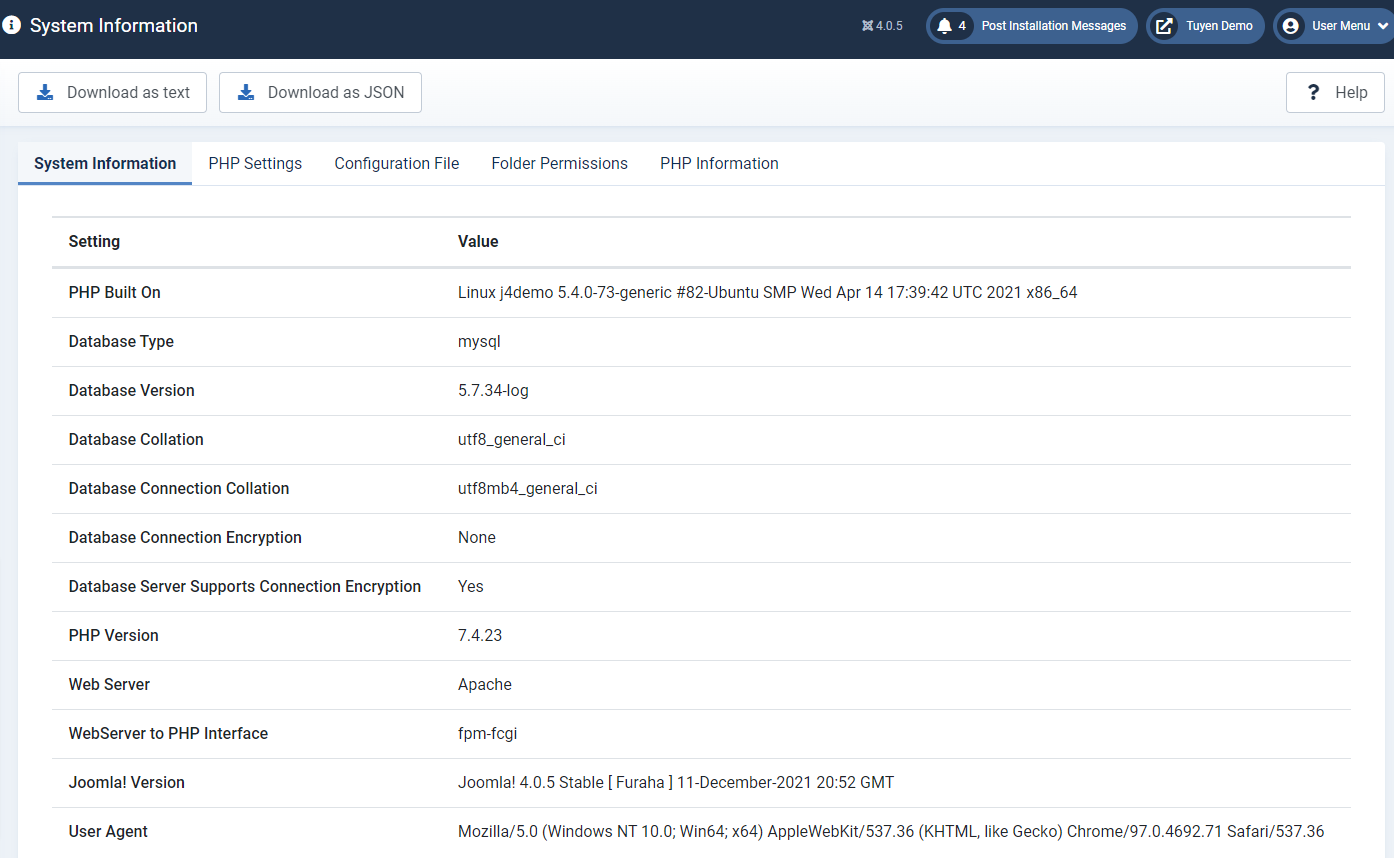 System Information In Joomla 4-3