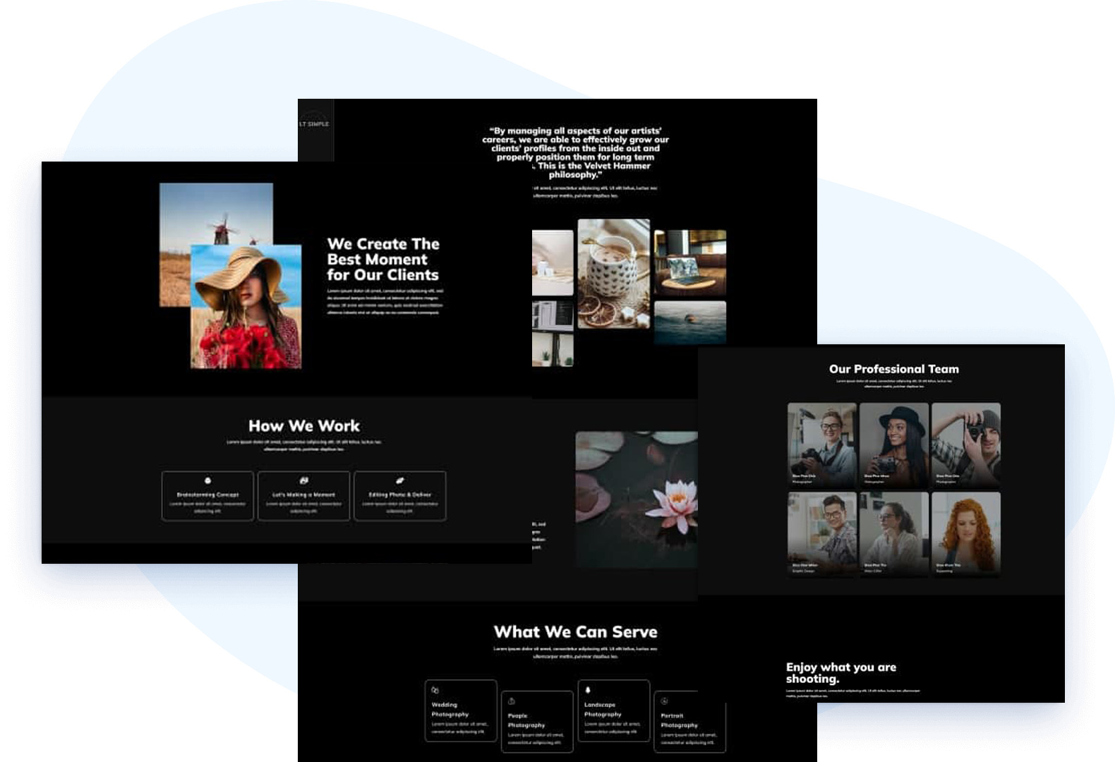 Lt-Simple-Free-Elementor-Wordpress-Theme