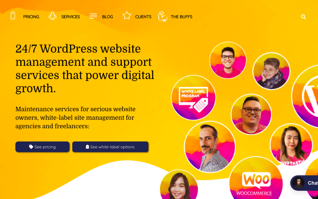 10 Helpful WordPress Maintenance Services For Your Site