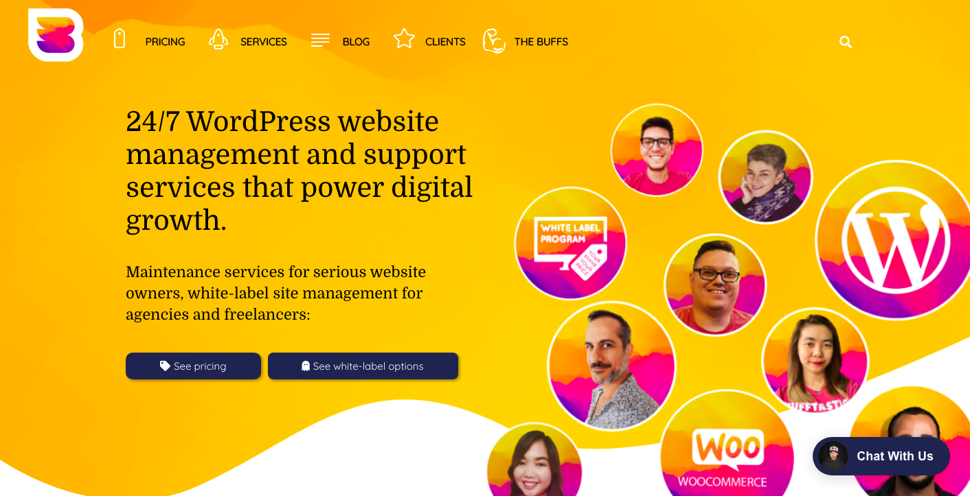 Wordpress-Maintenance-Services
