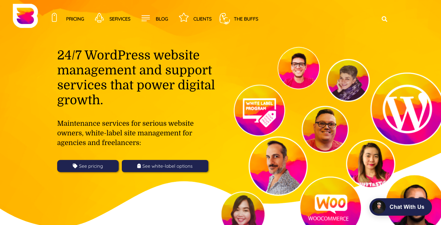 wordpress-maintenance-services-1