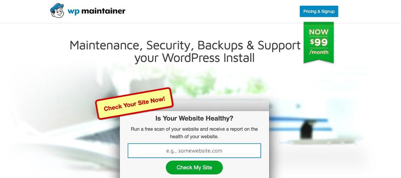 Wordpress Maintenance Services 8